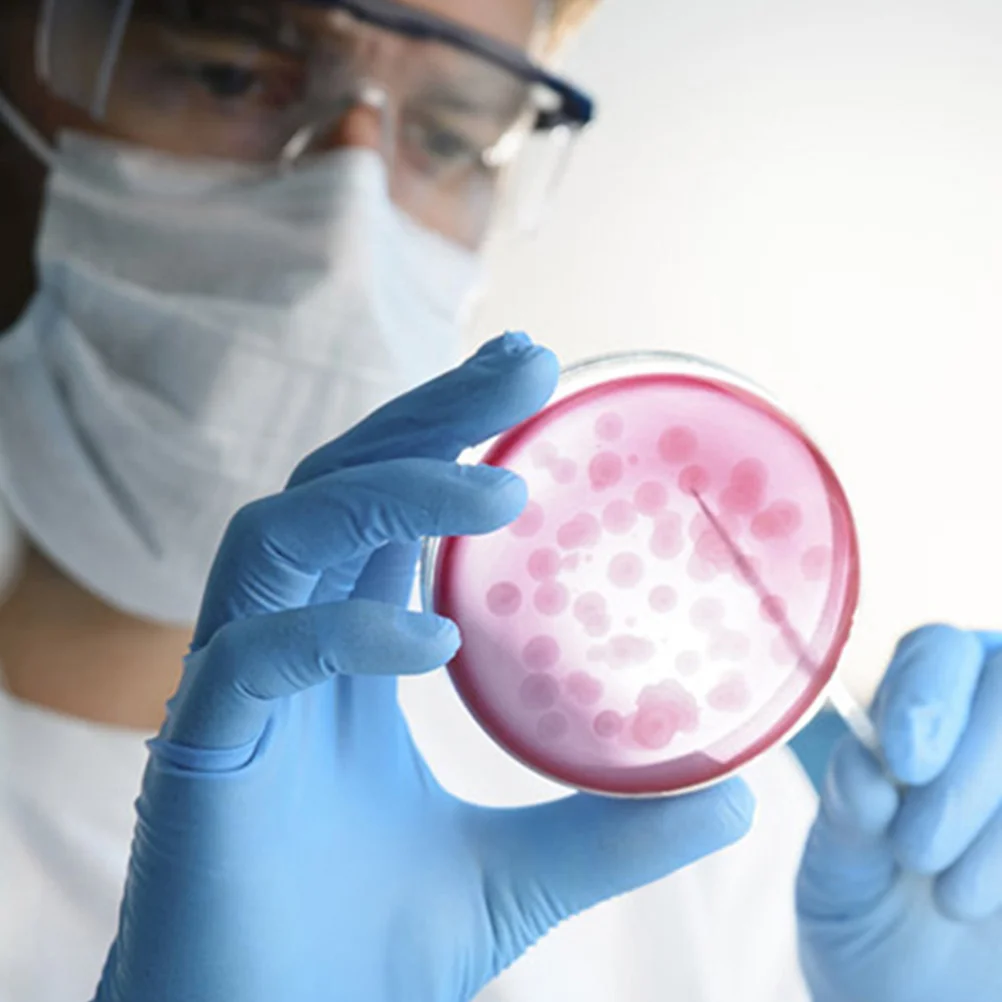 

20 Pcs Nutrient Agar Plates 7cm Petri Dishes for Lab Experiment Science Cultivation Storage Research Microbiology