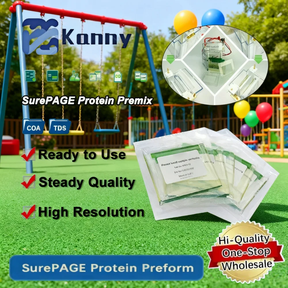 Genscript Surepage Precast Protein Gel Sds Page Polyacrylamide Gel 4–20% 10 Well 12 Well 15 Well For Wb And Electrophoresis