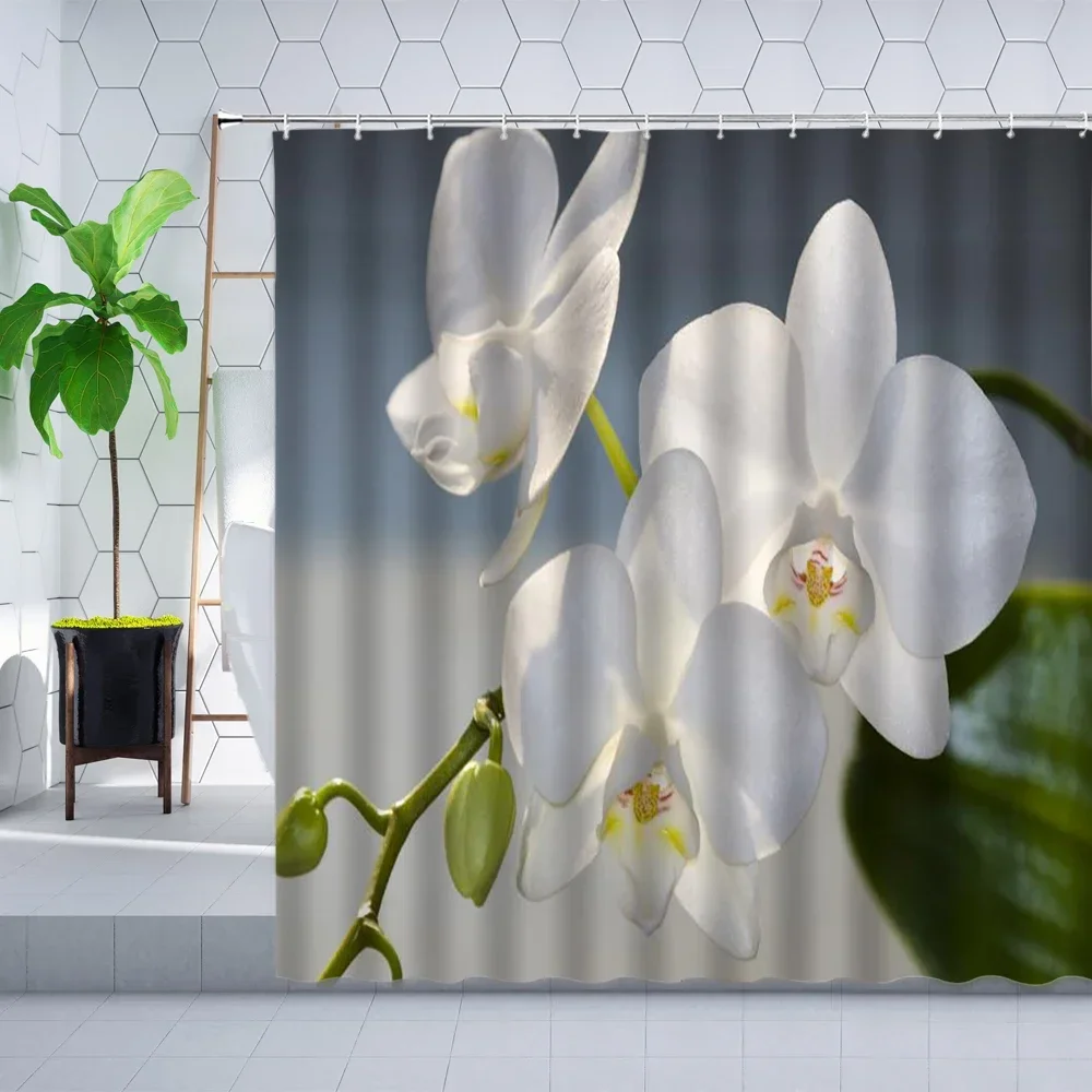 Pink Orchid Phalaenopsis Flowers Shower Curtain Florals Plants Elegant Art Decor Bathroom Bathtub Screen Polyester Curtains Sets