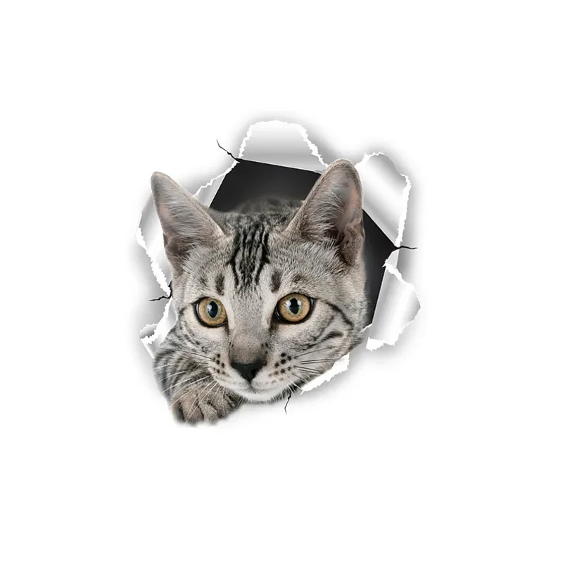 New Cartoon Toilet Sticker Toilet Bathroom Waterproof Self-adhesive Paper Cute Cat Expression Sticker