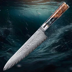 Professional Kitchen Chef Knife Damascus Steel Japan Premium Blue Resin and Colored Wooden Handle Cooking Knife