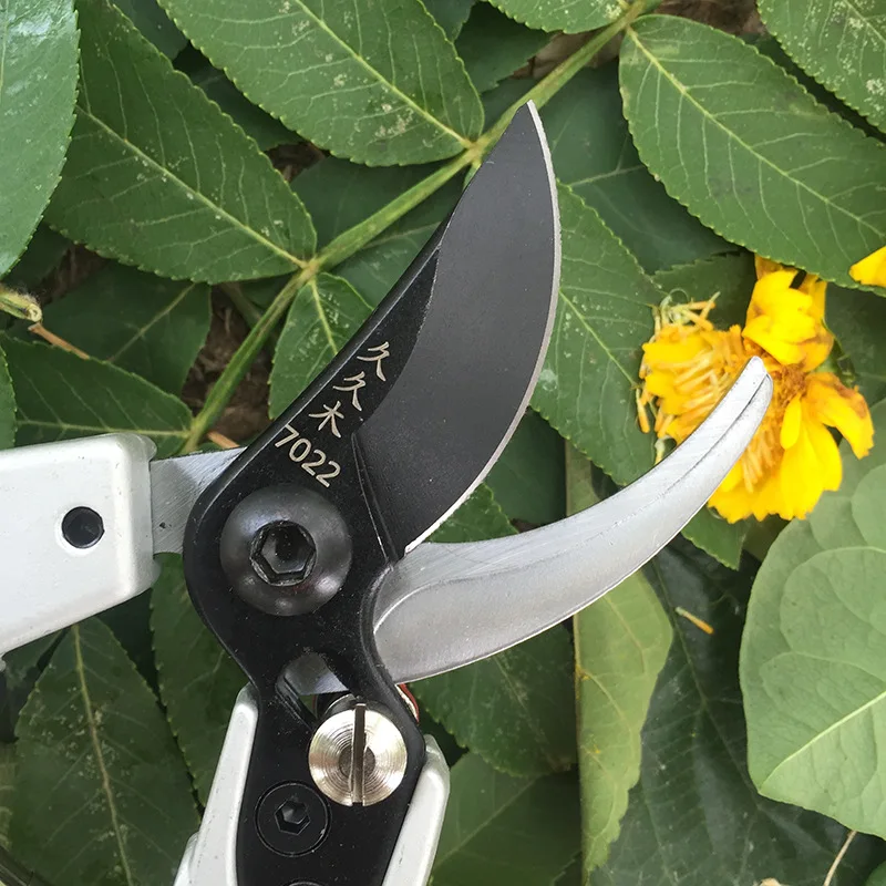 Árvore de fruto tesoura de poda tesoura ferramentas de jardinagem novo ramo de frutas tesoura sk5 tesoura de poda de madeira