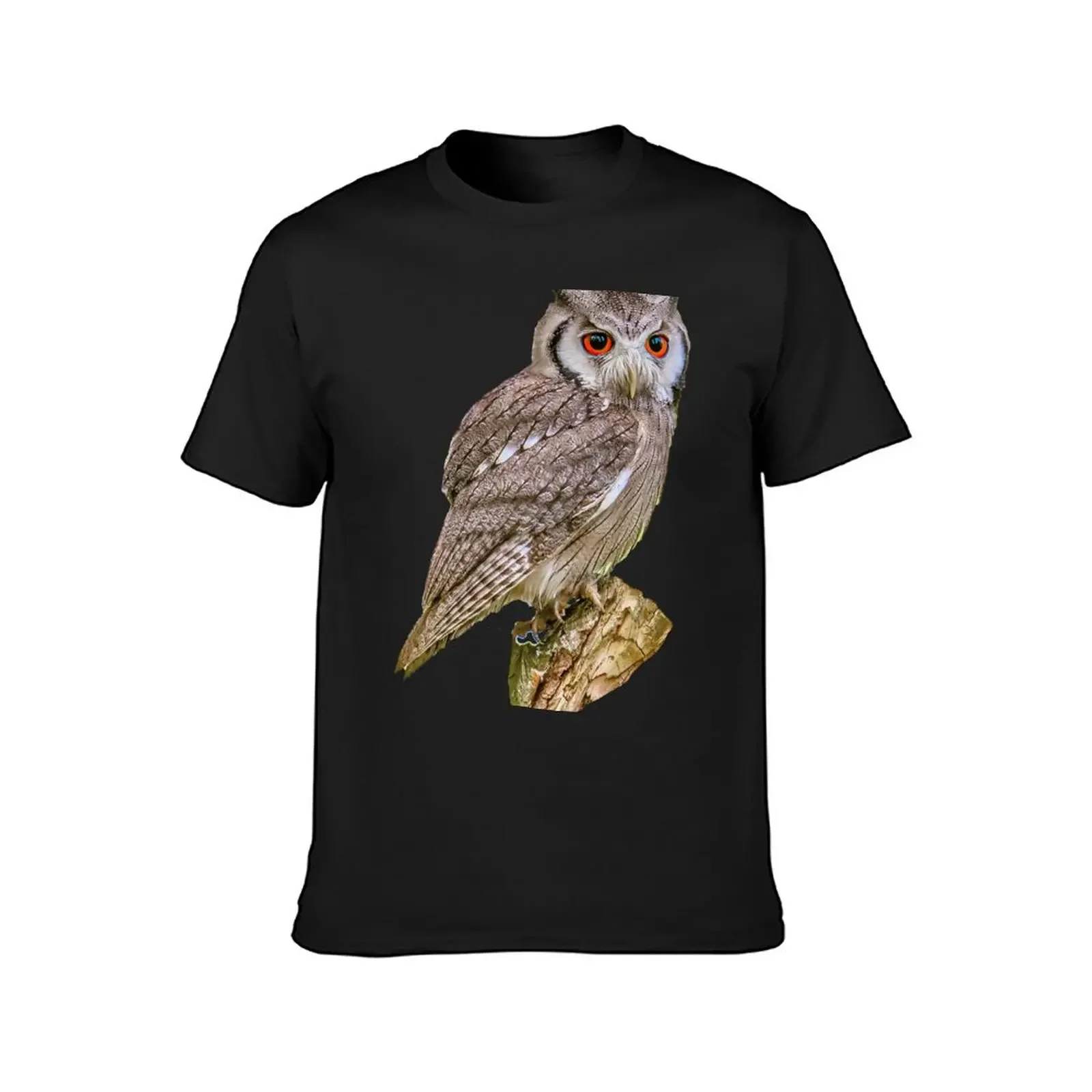 Southern white-faced Scops owl on a tree stump T-Shirt oversized t shirt graphic tee shirt Blouse blanks Men's t-shirt