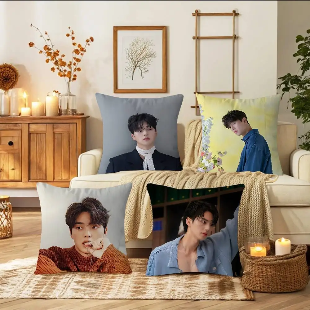 S-SONG KANG وسادة هدية ديكور مكتب المنزل وسادة غرفة نوم أريكة غطاء وسادة السيارة كيس وسادة