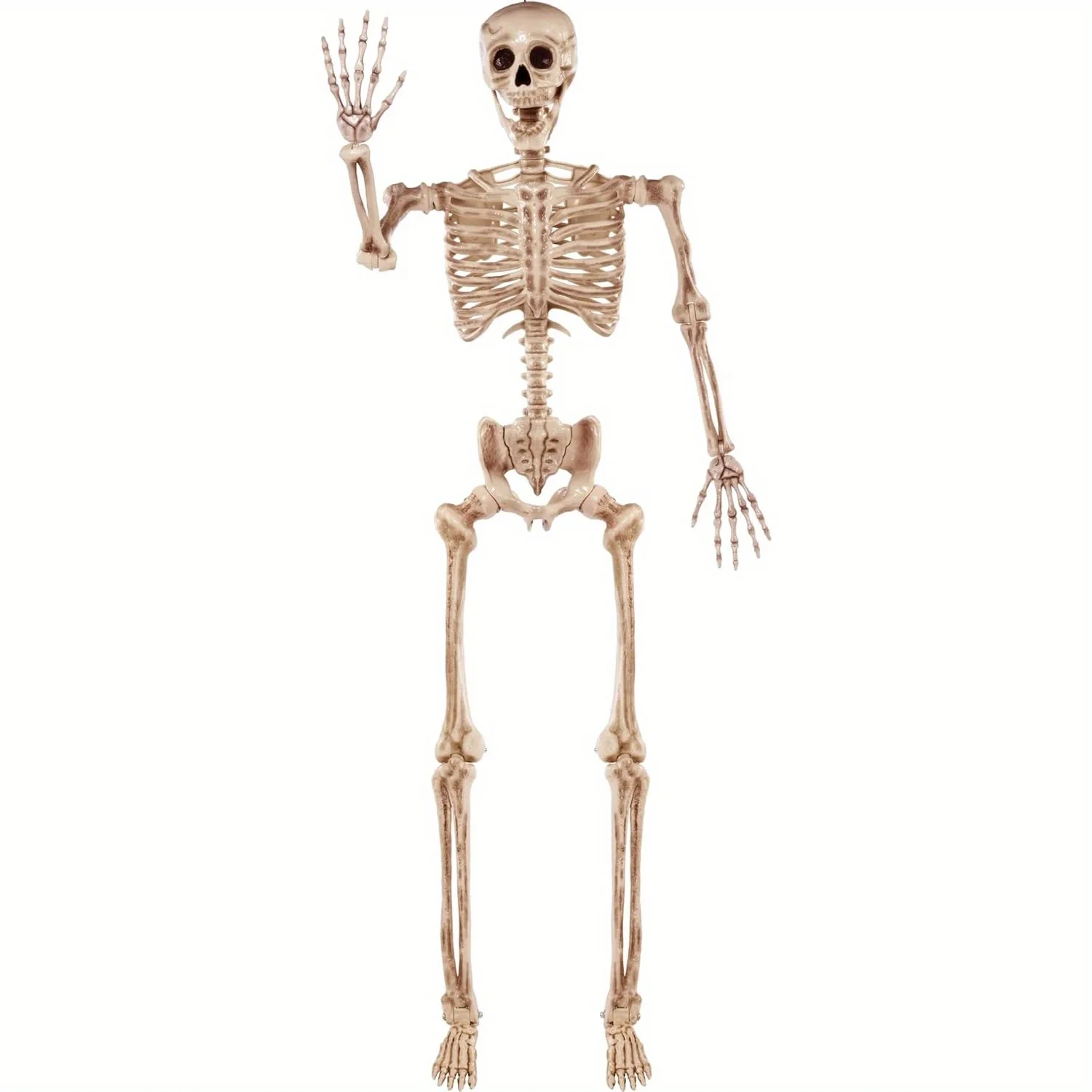 Photobooth props 5.6 FT Halloween Posable Life Size Skeleton Full Body Realistic Bones with Movable Joints for Halloween Indoor aecorations (Yellnd Outdoor Decoration Props Spooky Scene Party Dow)