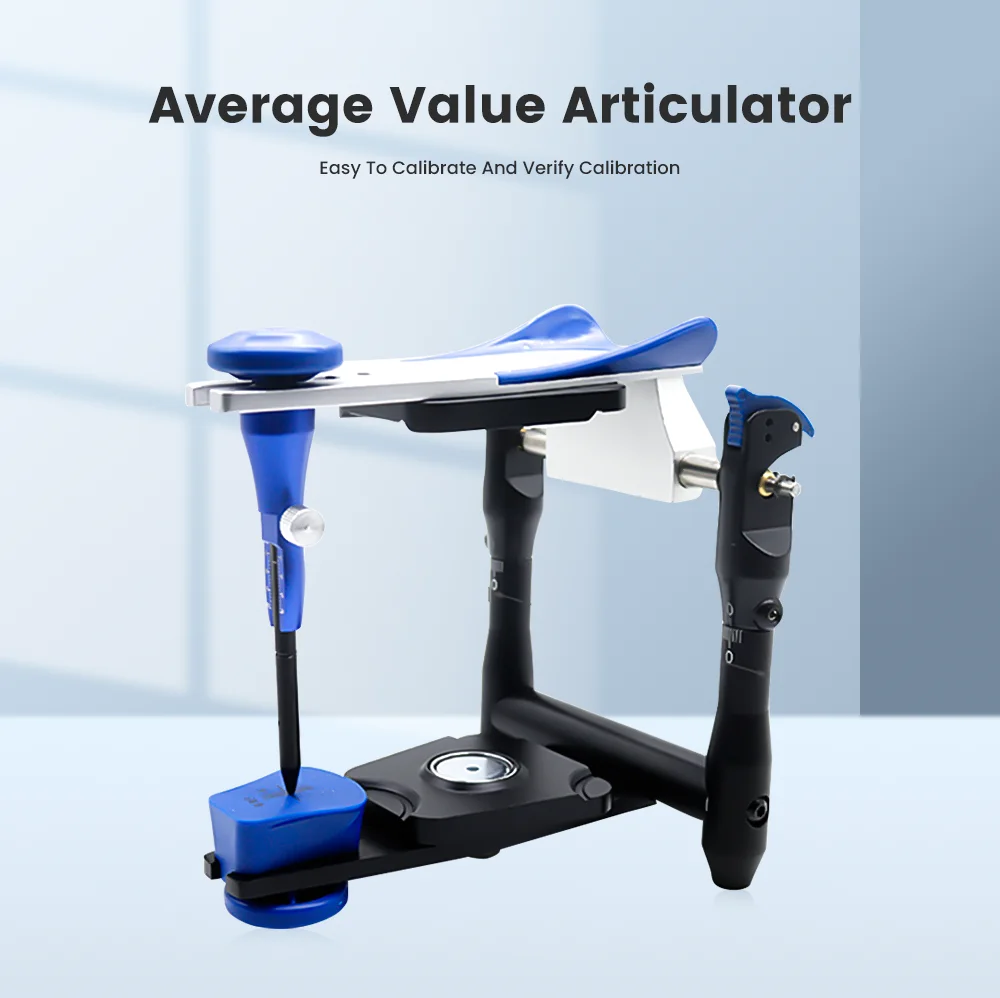 

Dental Articulator Lab Equipment Artex BN Model Functional Articulator Teeth Model Accurate Scale Plaster Model Dentistry Tool