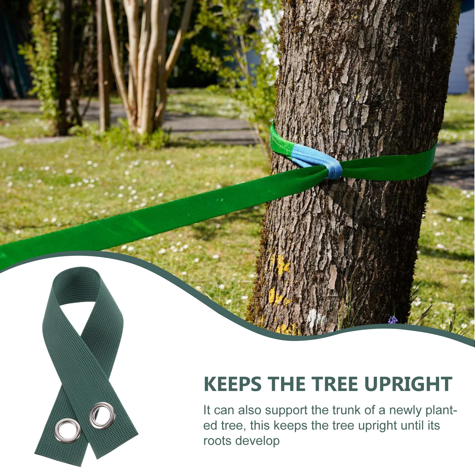 8 قطعة الأشرطة الثقيلة النايلون حصة أحزمة لحديقة الإبداعية شجرة حصة حزام النباتات إصلاح أدوات تثبيت شجرة في الهواء الطلق #1