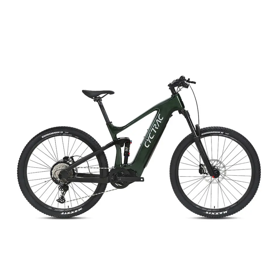 27.5/29er electric assist bike softtail mountain bike carbon frame Bafang mid torque motor emtb Lindau Electric Mountain e-Bike