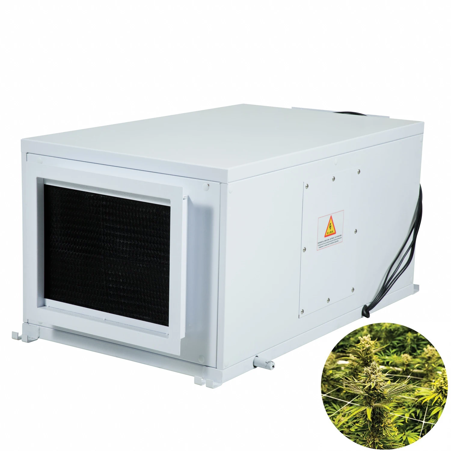 agricultural indoor grow greenhouse cultivation cannabls dehumidifier