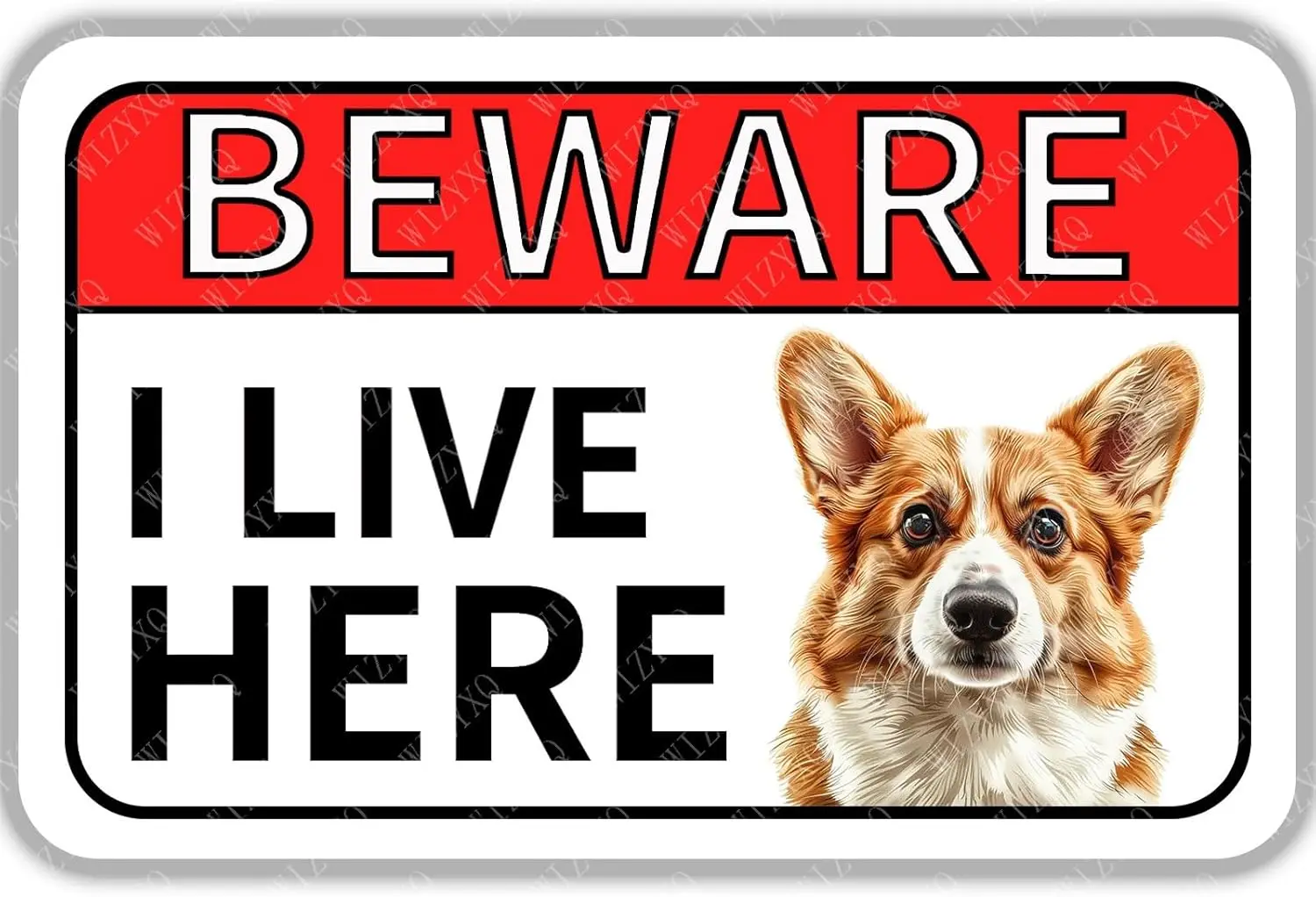 Metal Signs Beware I Live Here Corgi Sign Vintage Aluminum Tin Sign for Home Bar Living Room Garden Yard Wall Decor 12x8 In sign