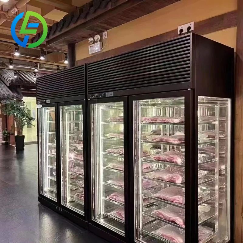 Customize Best Home Use Dry Aging Fridge Meat Beef Refrigerator Machine Built in Compressor with Light Box on Top