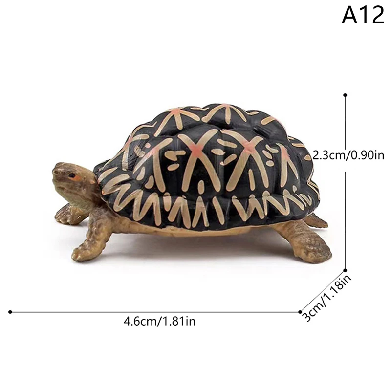 Realistic Turtle Action Figure Animals Figurines Kids Children Toys Models Miniature Aquarium Figures Ocean Models Gift