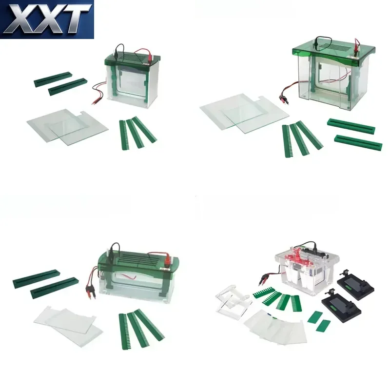 XXT Lab Highly Vertical Gel Electrophoresis Apparatus