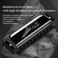 Blues Harmonica Mouth Organ 10 Hole C Key with Case, Diatonic Harmonica for Professional Player, Beginner, Students gifts, Adult