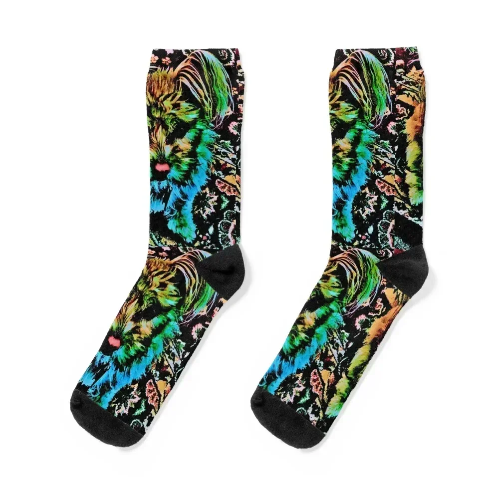 

Colorful Dog Socks kids men cotton high quality fashionable compression Socks Women Men's