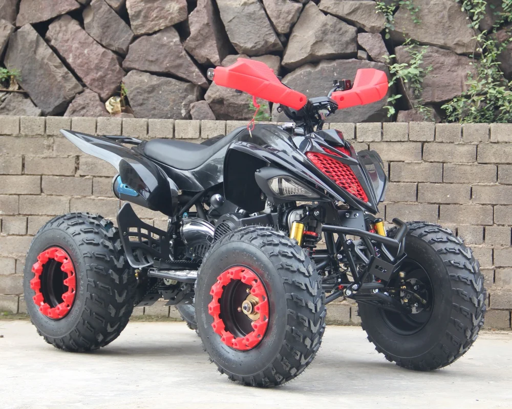 

Cost-effective ATV for All Terrain with CE Certification 4L Large Capacity