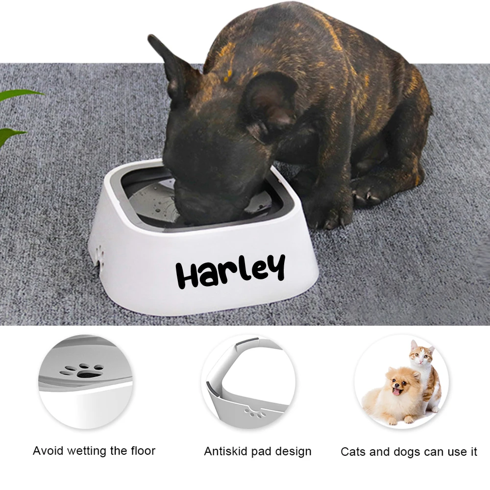 Thumbnail 2 - #78 Latest Dog Bowls Offers