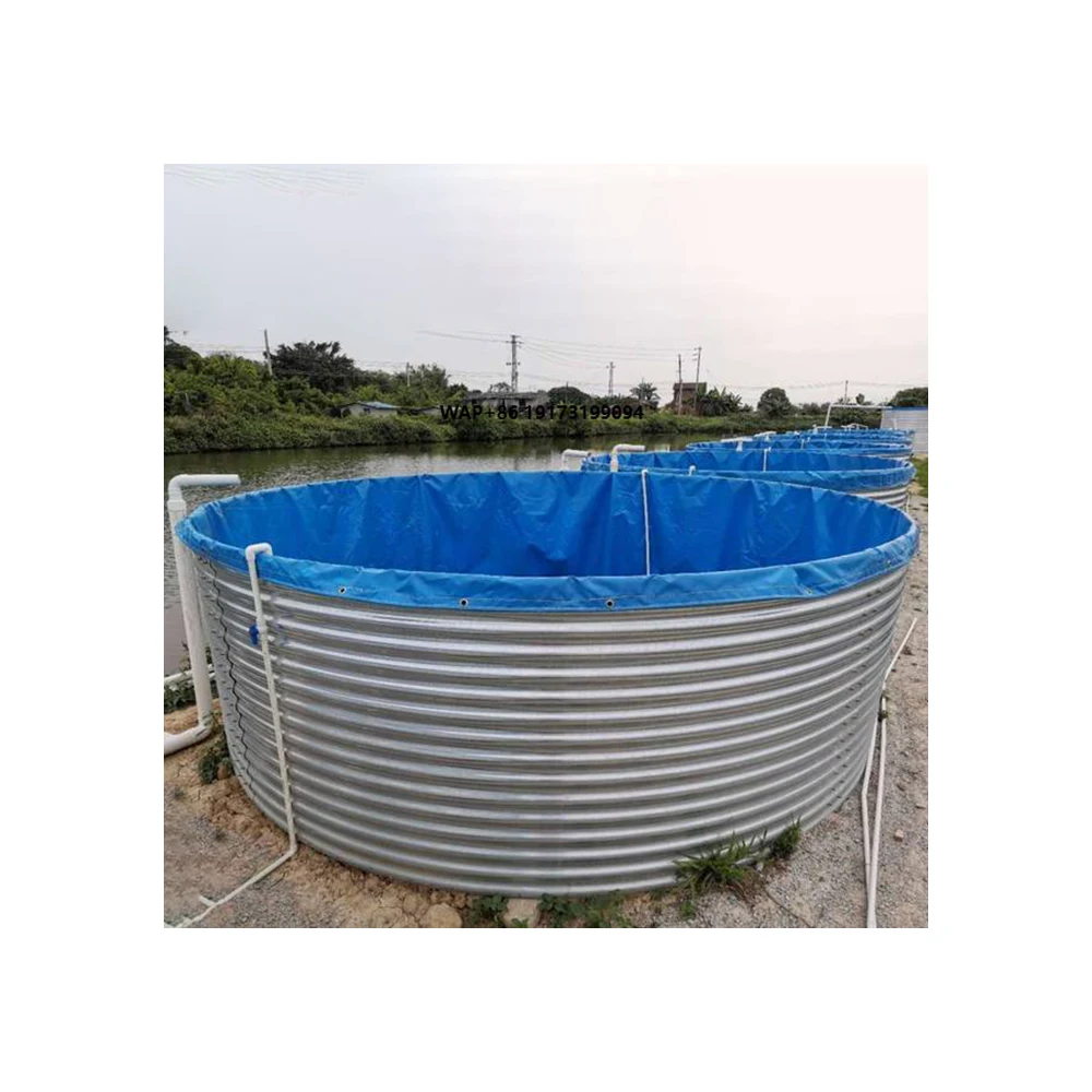 Indoor Fish Farm Breeding Commercial Complete Recirculating Aquaculture System