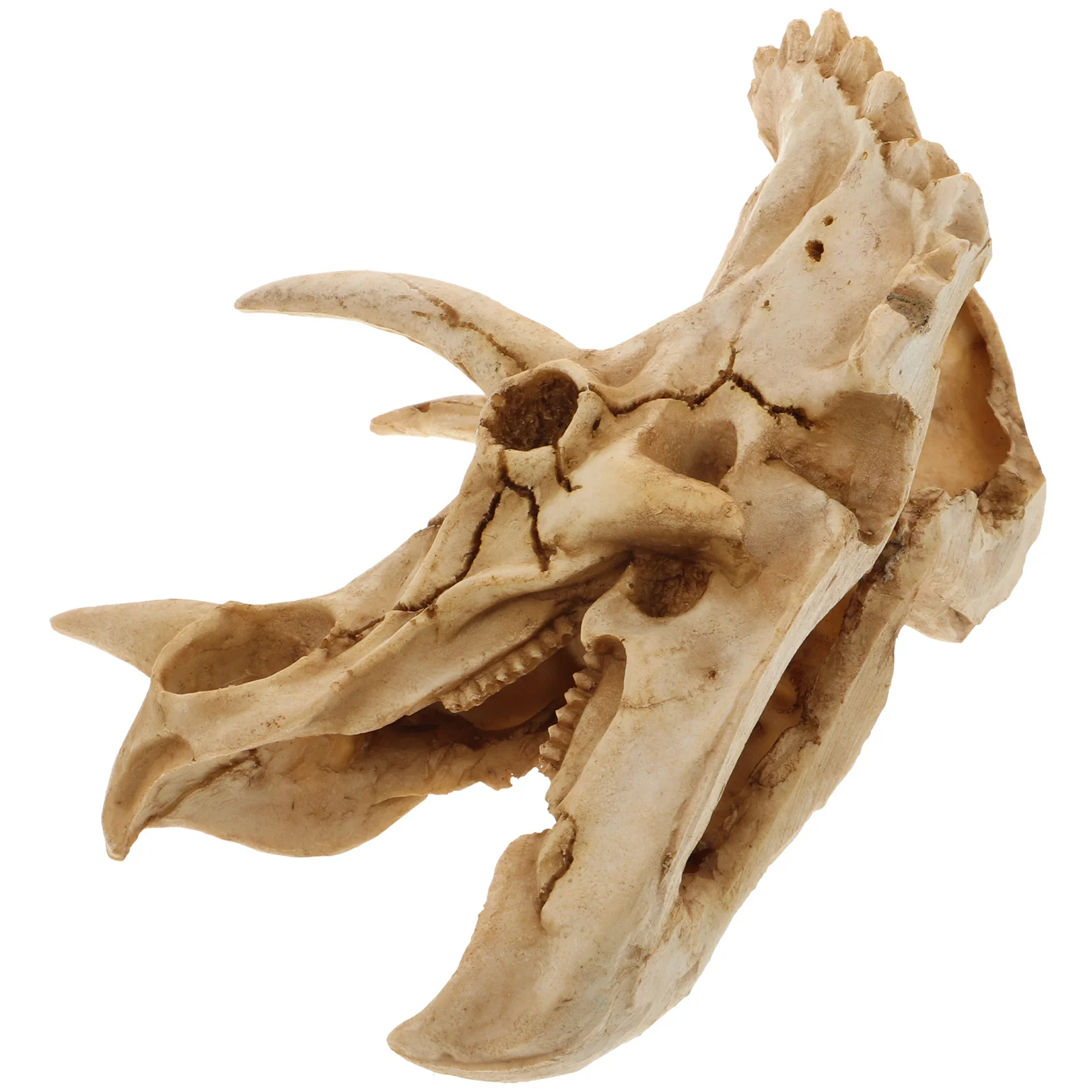 ديناصور الجمجمة الديكور مخبأ للزواحف الراتنج الكهف المأوى للتنين الملتحي سحلية أبو بريص السلاحف ثعبان خزان الأسماك #3