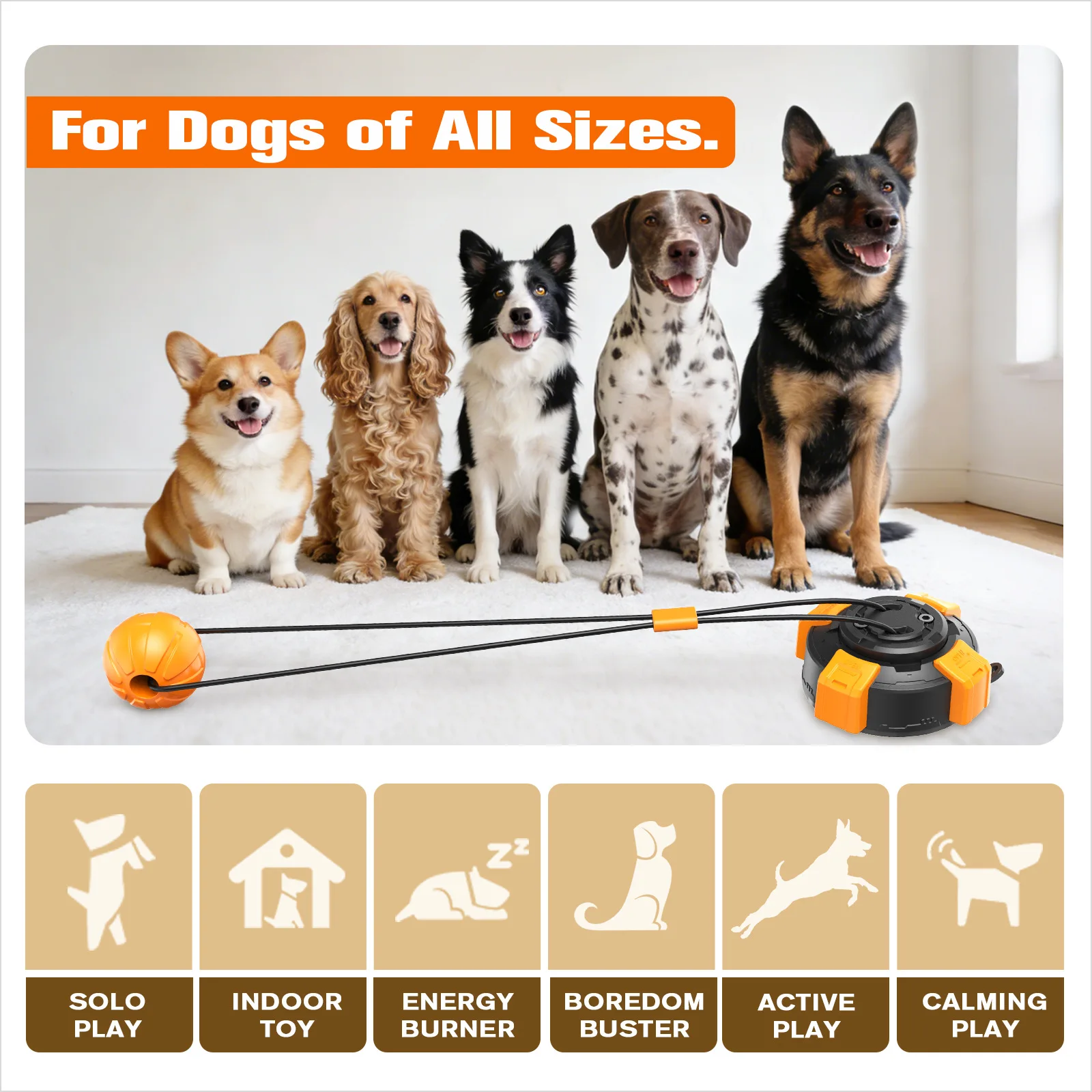 6th Upgraded Powerful Suction  - đánh giá và giá Suction Cup Dog Tug Toy