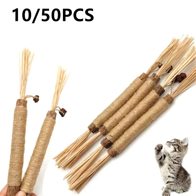 1/5/10/20/40PCS Natural Matatabi Pet Cat Snacks Stick Cleaning Tooth Catnip Actinidia Silvervine For Cats Accessory Pet Cat Toy