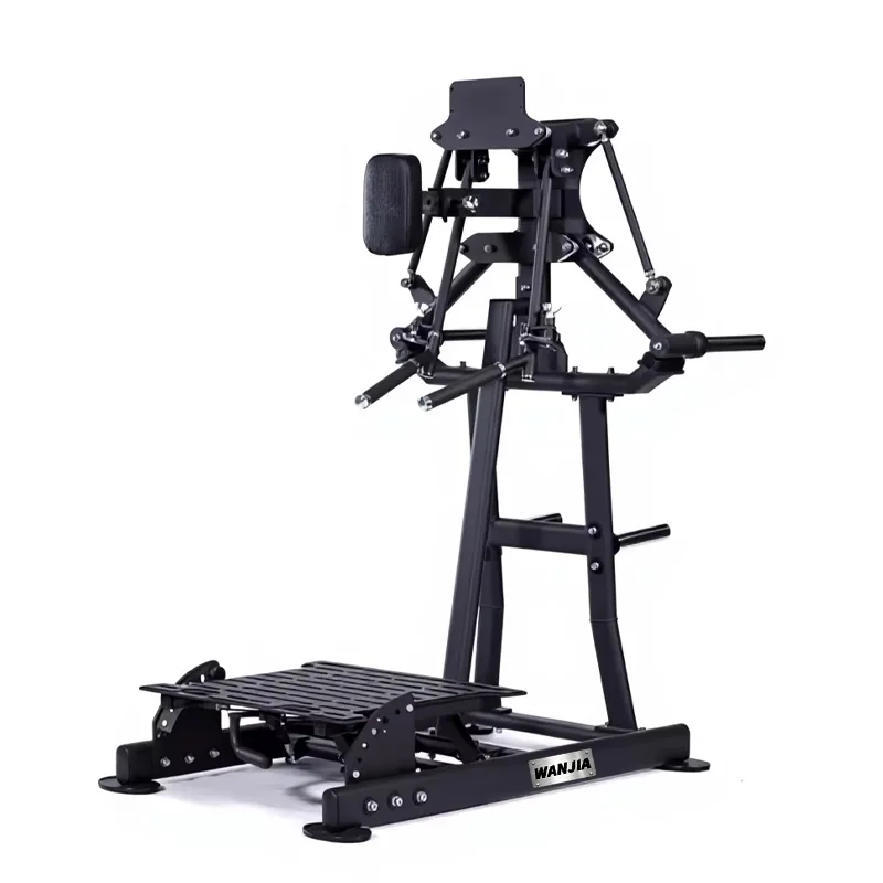 Factory Direct Sale Professional Steel Gym Fitness Equipment with High Quality Material Strength Training Standing Lateral Raise