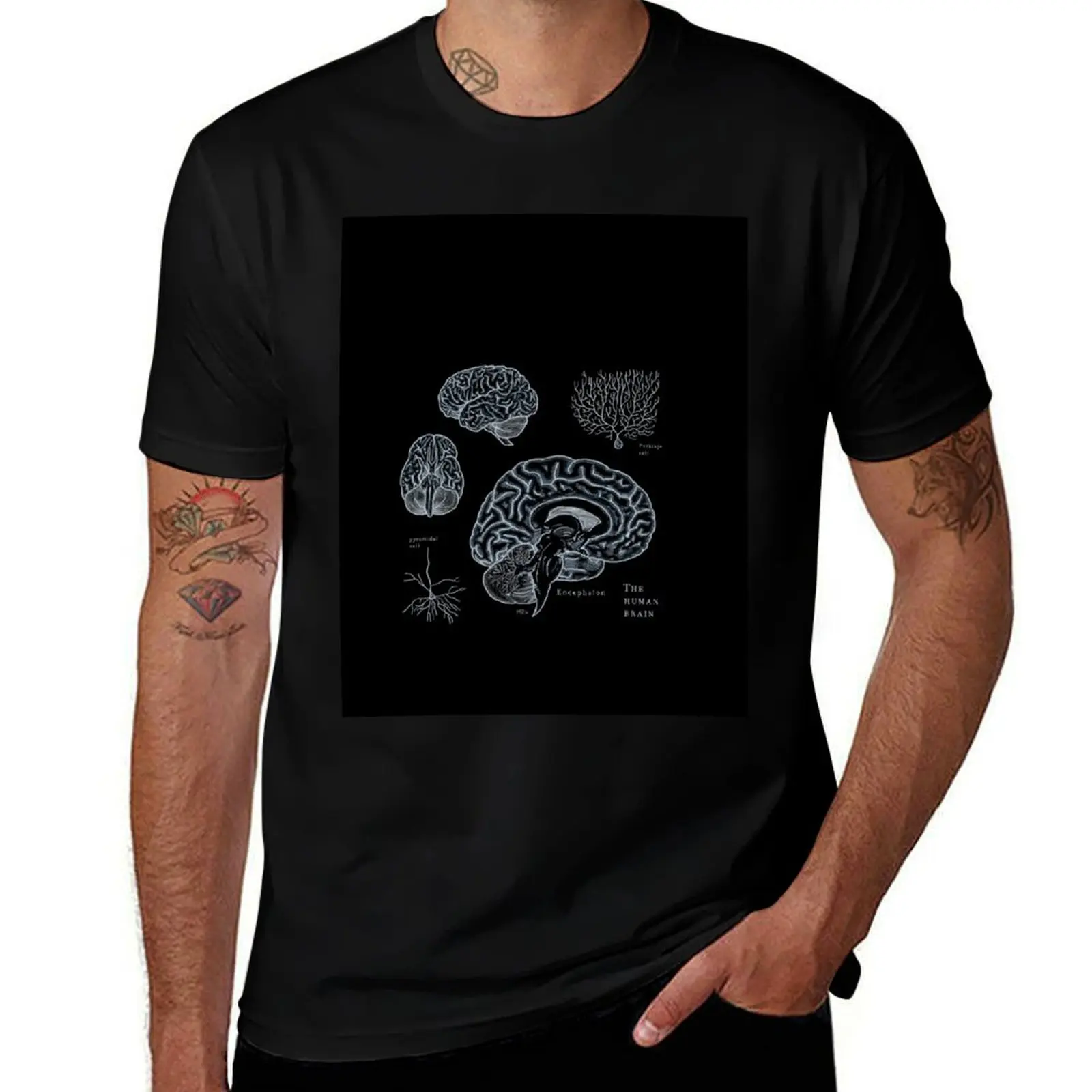 The human brain: scientific illustration T-Shirt Cool Feeling Summer Tee Shirt T-Shirt