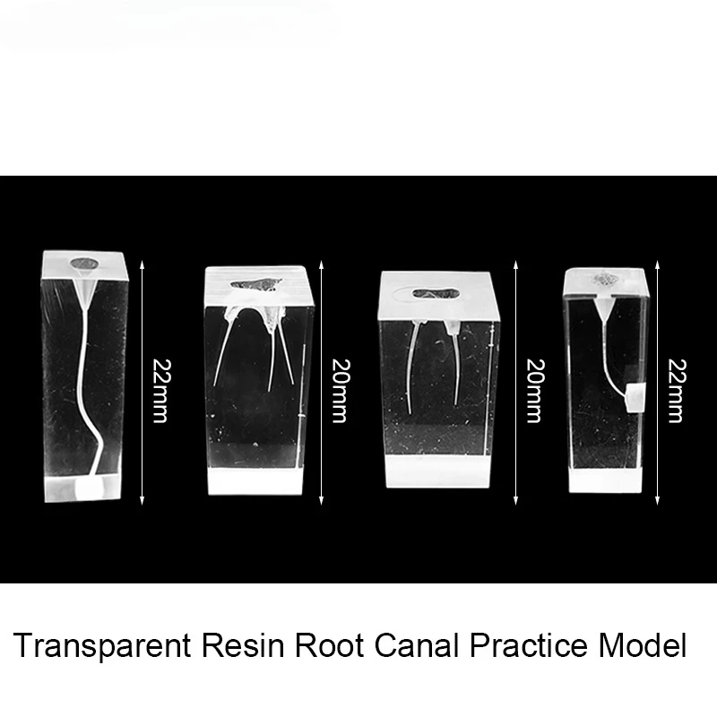 5/10Pcs Dental Endodontic Cubes File Training Model Training Block Endodontics Student Teaching Model Dental Module