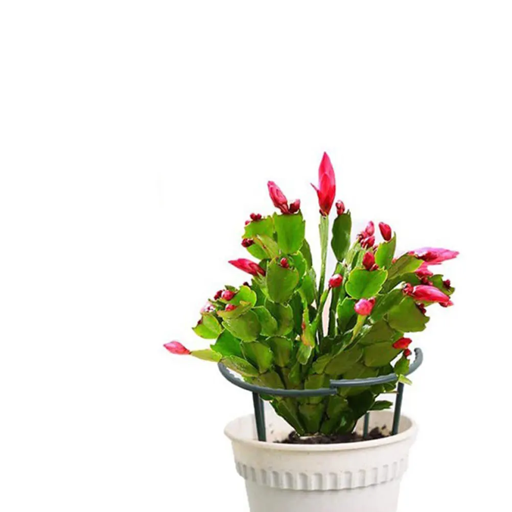 

10pcs Plant Support Climbing Rack Durable Plastic Pot Structure Green Plant Display Stand Home Office Indoor Tall Stands