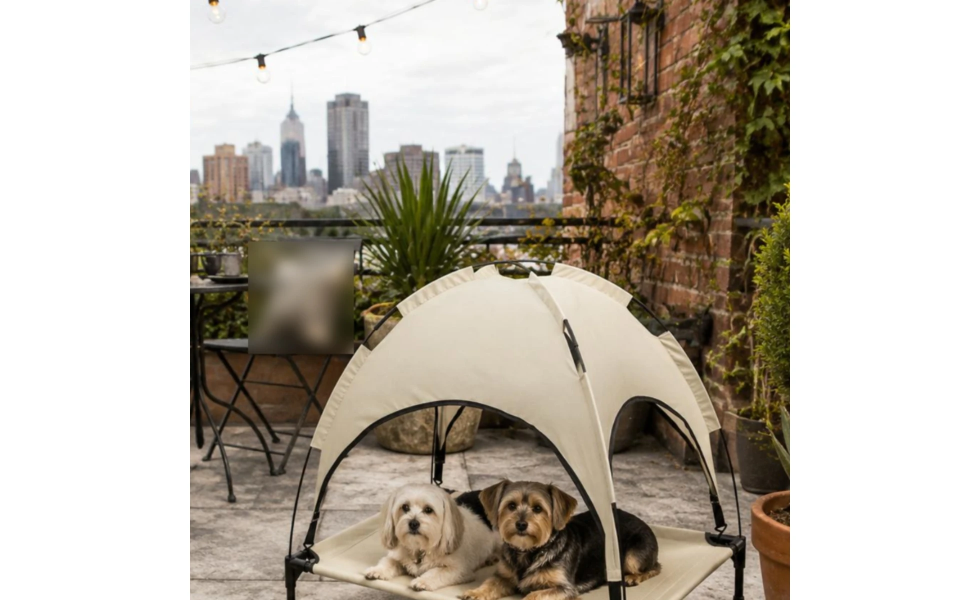 https://ae-pic-a1.aliexpress-media.com/kf/Se297bb320af843d89cbc94e13978c86ft.jpg