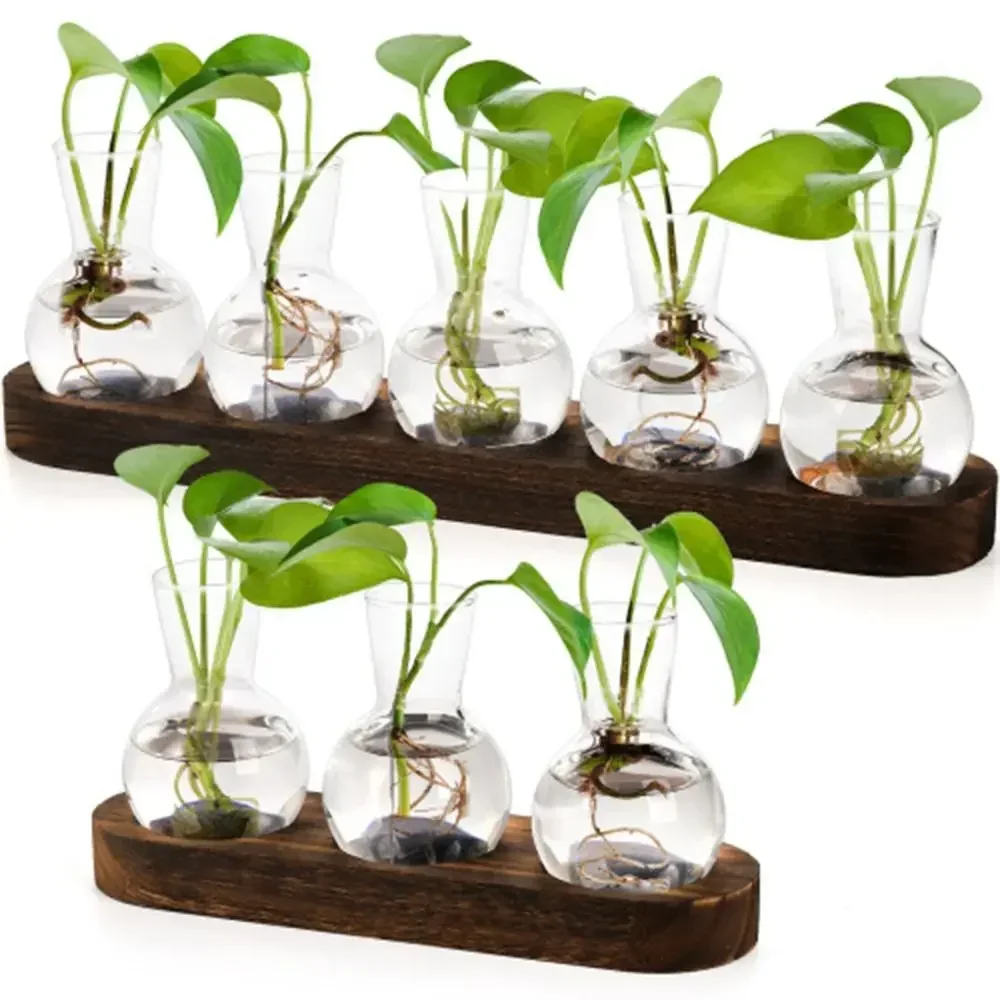 Florero cristal hidropónico transparente morno con banja mara
