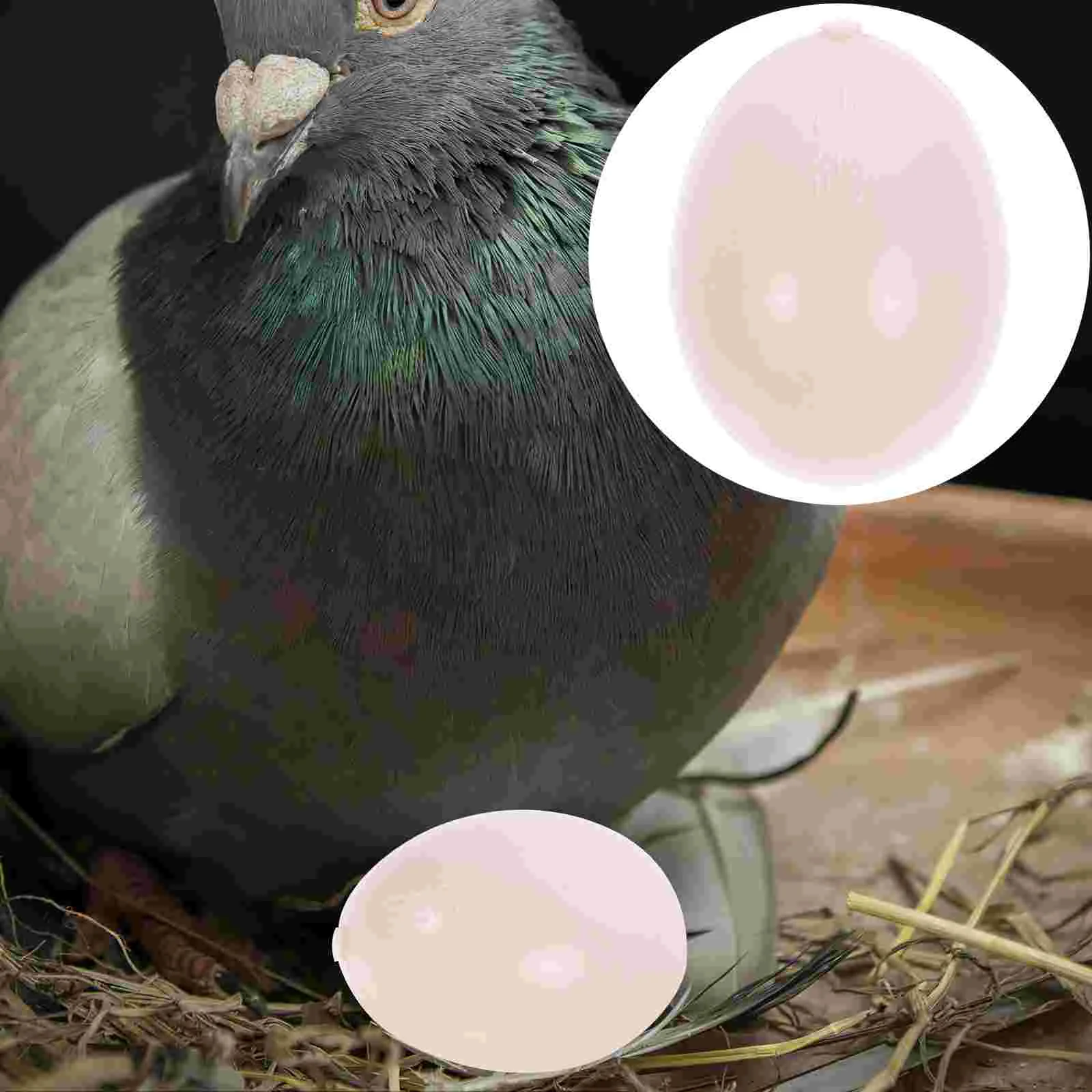 10pcs Water Injection Carrier Pigeon Fake Eggs Creative Funny Carrier Pigeon Decor Egg for Home Store