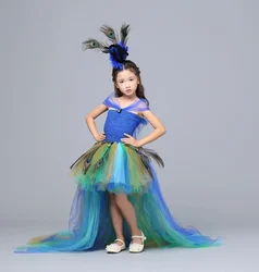 Peacock Dress with Train Tulle For Kids Girls Peacock Feather Toddler Baby Girls Party Clothes for Birthday Photograp