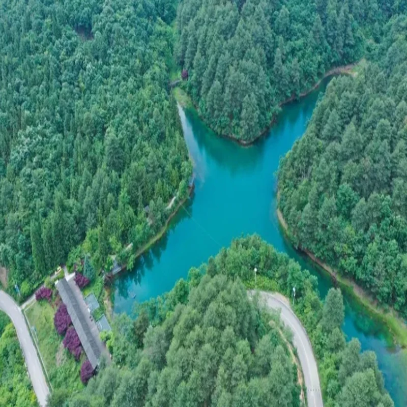 Servo JX PDI-5521MG-360 360 ° Servo con nucleo ingranaggi in metallo digitale sterzo da 20 kg con coppia elevata per modello RC 1/10 1/8 RC Car Robot RC fai da te