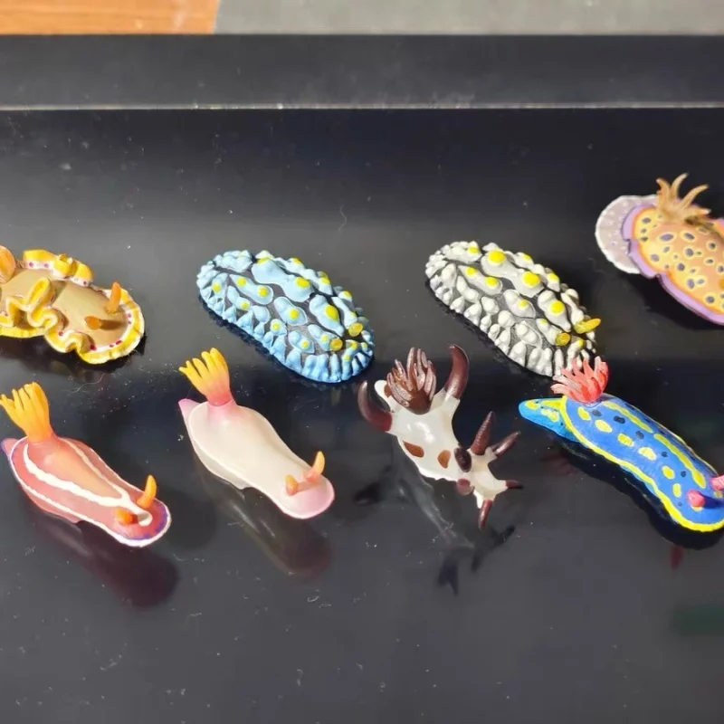 Ikimon Ntc해양 생물 불가사리 해마 시뮬레이션 모델 슬러그 수집용 모델 바다 슬러그 바다 토끼