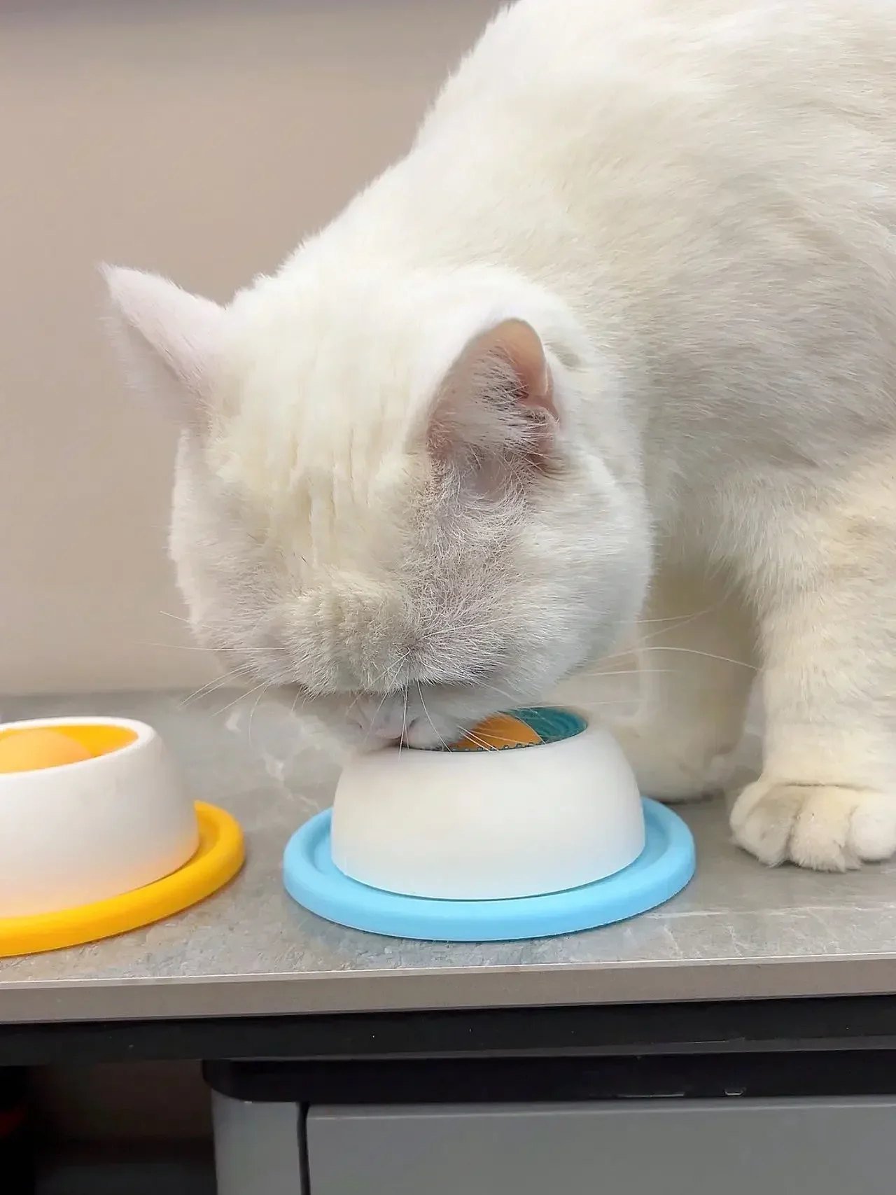 Haustier-Leckspielzeug, Slow-Feeder-Spender, Interaktives Reizmaterial, Trainingszubehör für Hunde, Katzen und Welpen – Detail 18