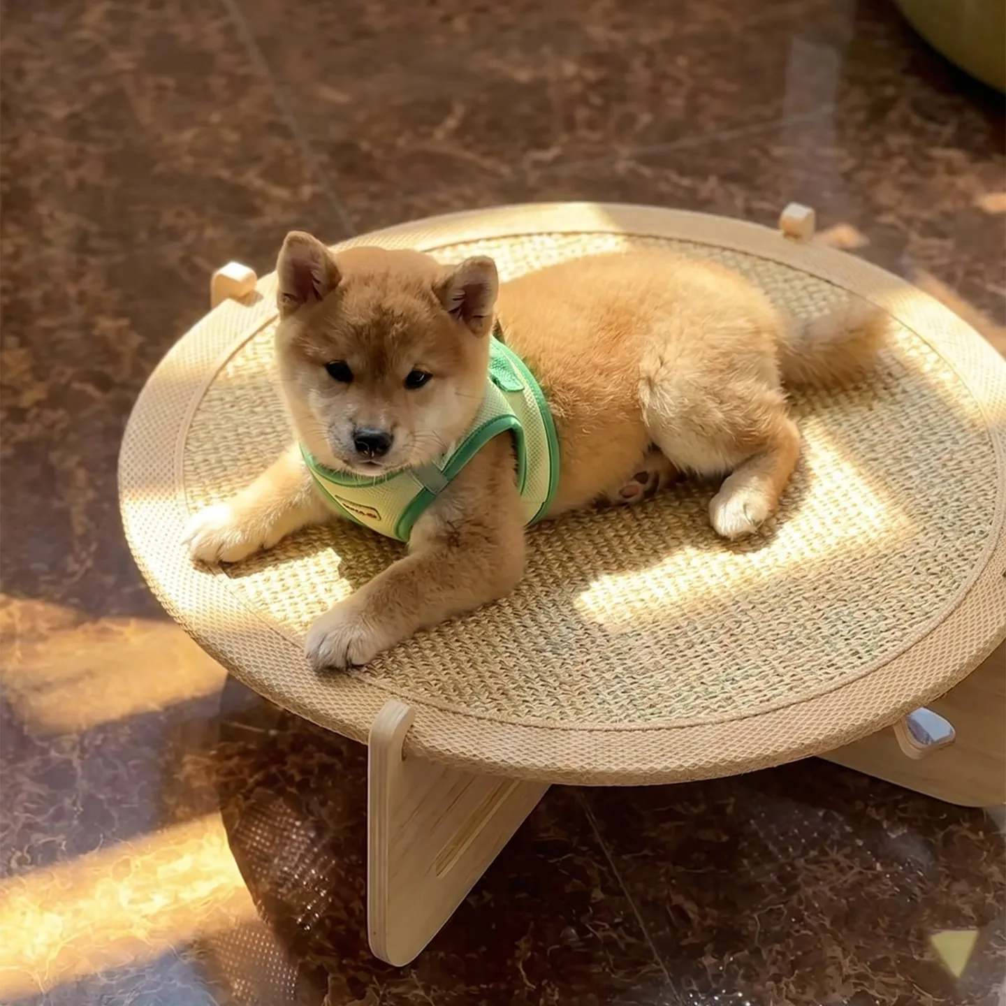 Simple Natural Four Seasons Sisal Pet Trampoline Cats Scratching Board Cat Sofa Sisal Pad Recliner Small Dogs Breathable Hammock - view 5