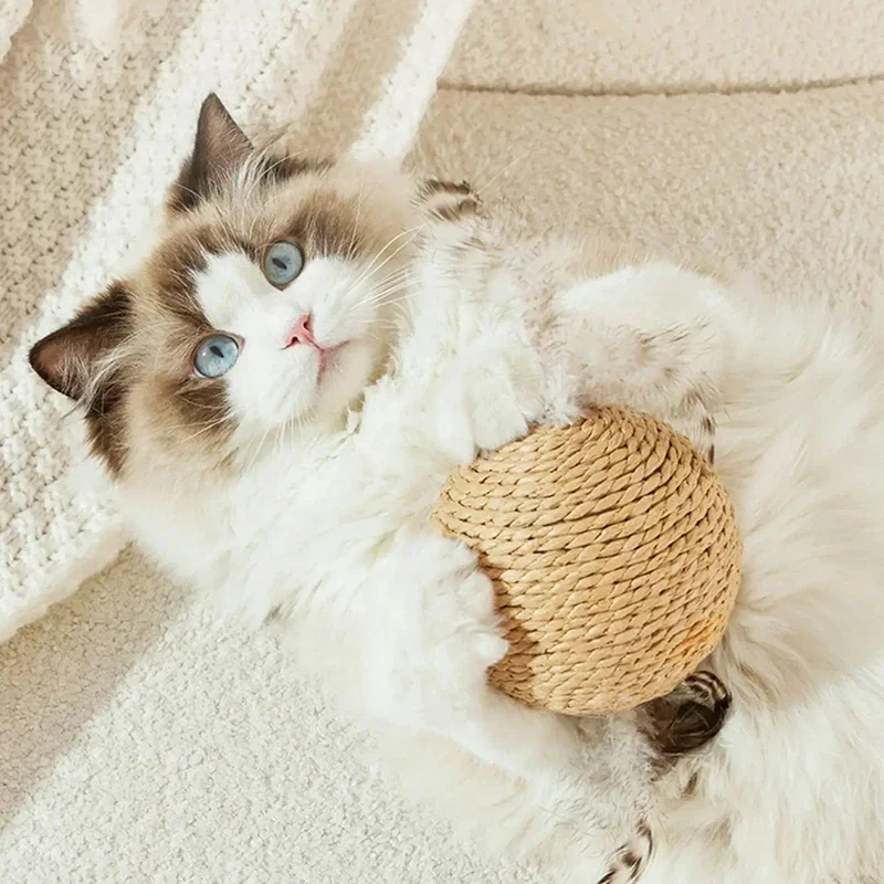 Interaktives klingendes Katzenball-Spielzeug, 10 cm, Sisal-Kratzball für die Zahnreinigung von Kätzchen, Anti-Biss, Heimtierbedarf, Katzenspielzeug
