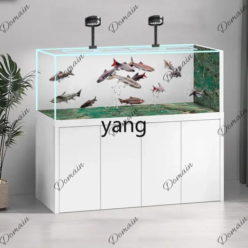 BX Yjq Ultra White Arowana Tank Pipeless Bottom Filter Tank Living Room Butterfly Koi