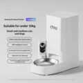 video model