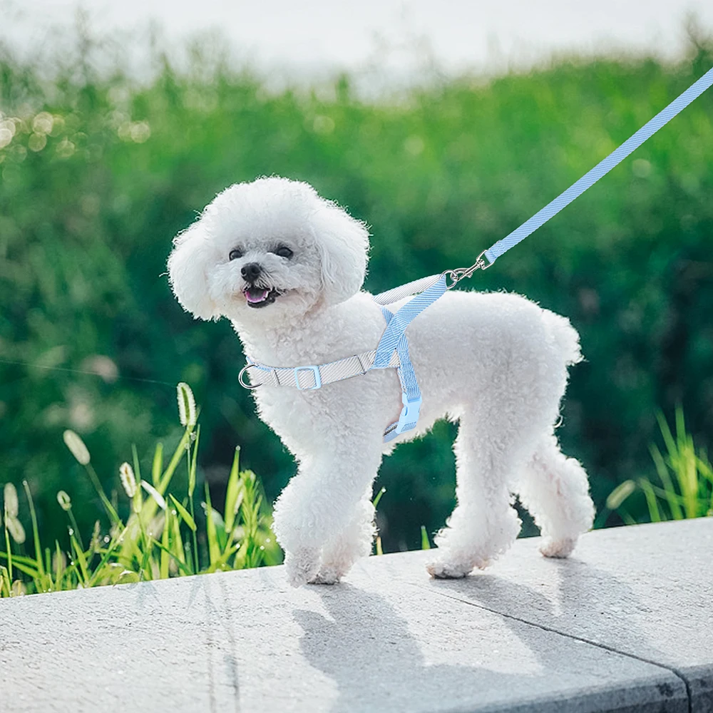 당기지 않는 개 하네스 가죽 끈 나일론 소형 개 하네스, 조정 가능한 애완 동물 강아지 조끼, 소형 중형견 치와와 퍼그용 리드 로프