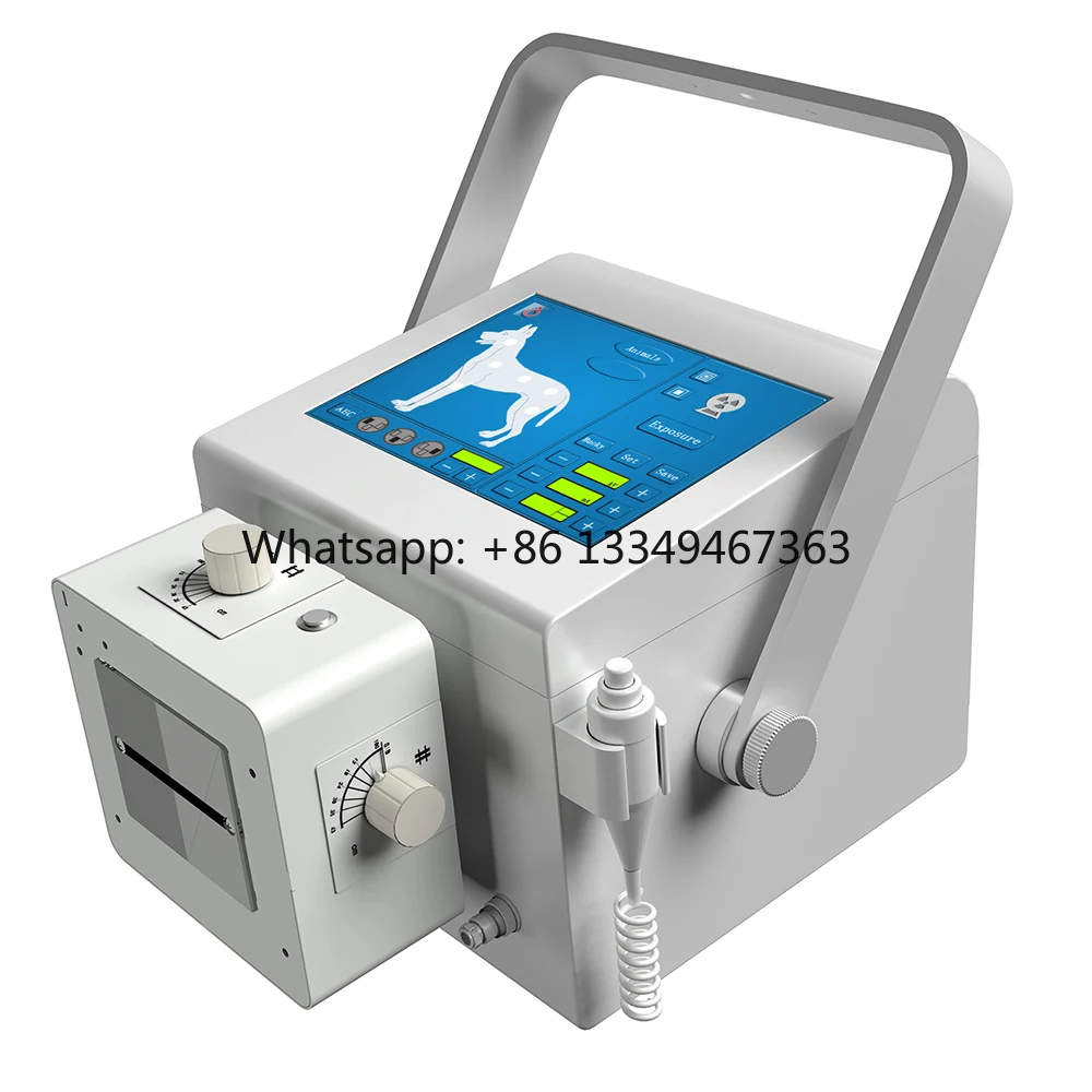 

Fast Shipping Portable X Ray Machine 5.6kW 10.4 Inch Manufacturer