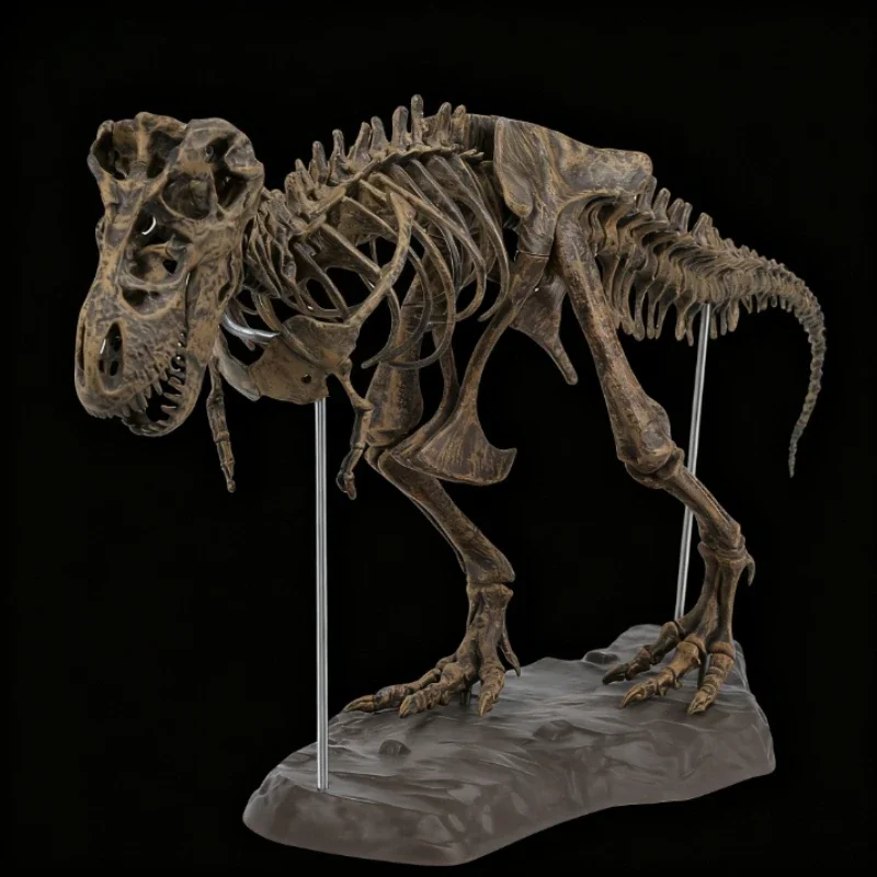 Tyrannosaurus Rex Skeleton Model Realistic Dinosaur Fossil Skeleton Statue for Science Museum Replica Dinosaur Lover Gift
