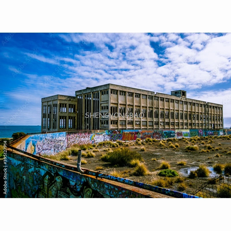 Vinyl Custom Graffiti Theme Photography Backdrops Studio Props Vintage Brick Wall Photo Photography Background 211217STO-01