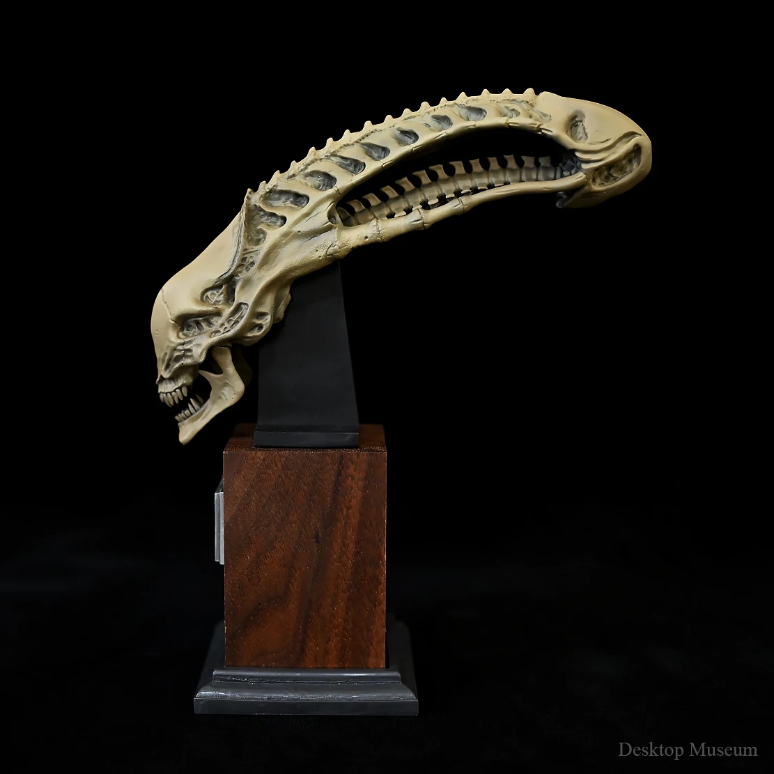 Decoración de escritorio de 155MM, adorno de resina, decoración del hogar, LTCP-411