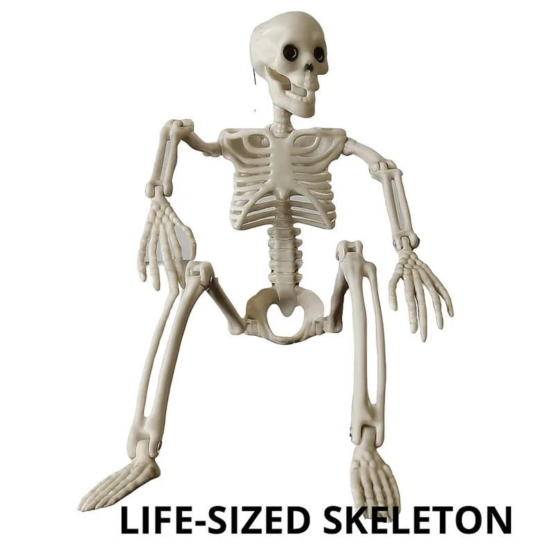 

Skeleton Joint Adjustable Halloween Horror Ornament Pumpkin Human Skeleton 40 90cm Skeleton Frame Easter Easter Unisex Gift New