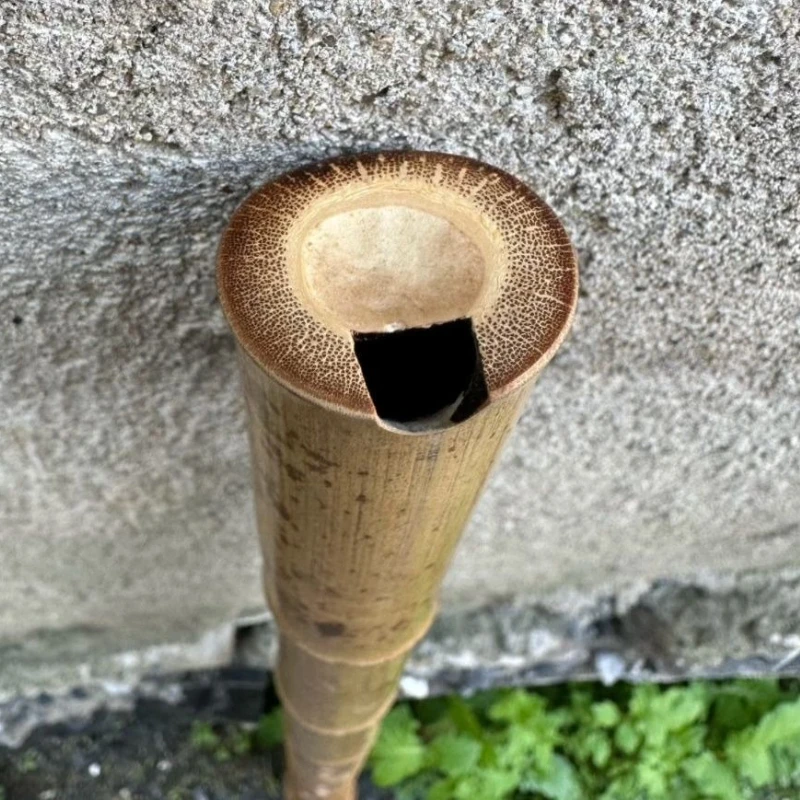 8穴中国式縦笛G/Fキー伝統的な短笛初心者大人演奏管楽器プロ - Shakuhachi Bamboo Flute のレビューと価格