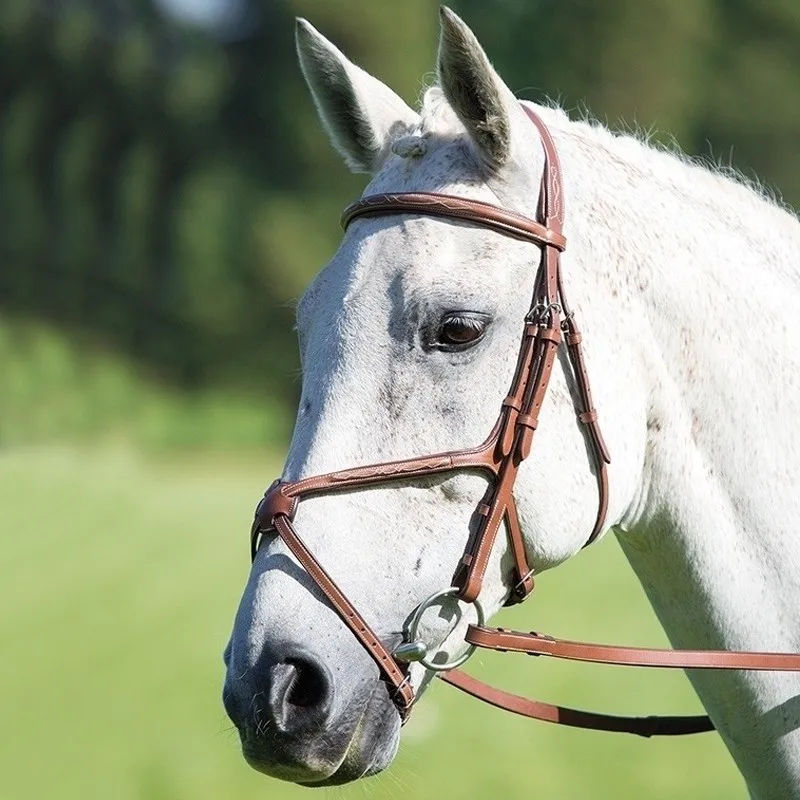 Francie grackle hydrobridle kůň aparatura, kůň jízdní, 8218087