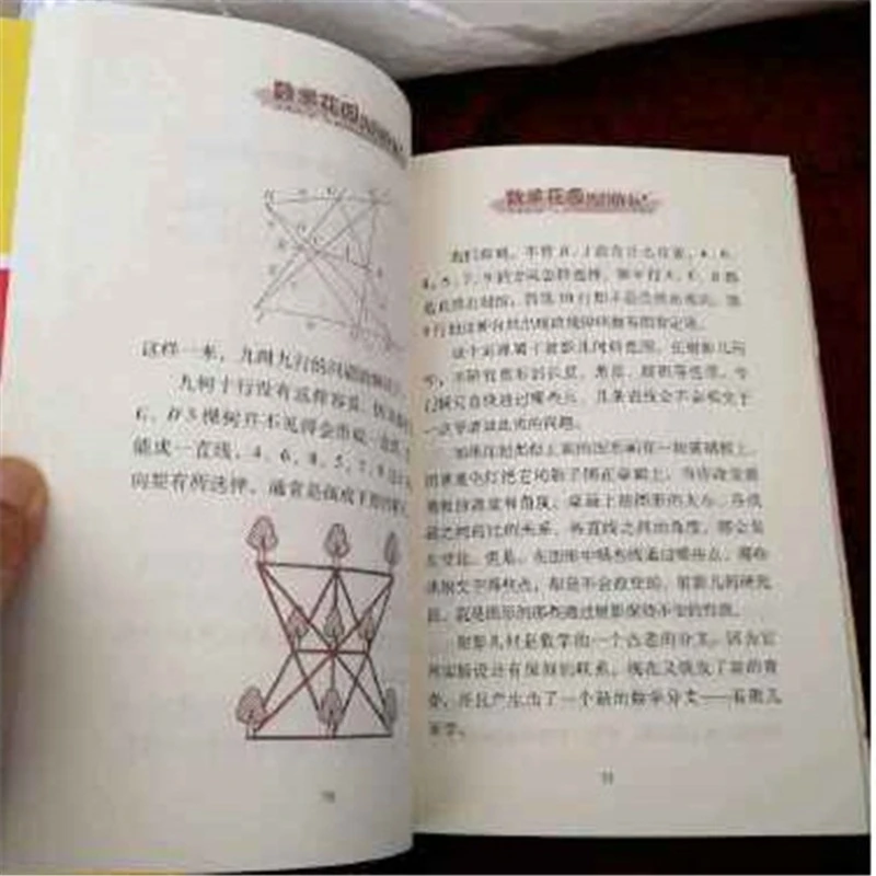 Roaming en el jardín matemático, un obra maestra de expertos de popularización científica china y un divertido álbum de matemáticas