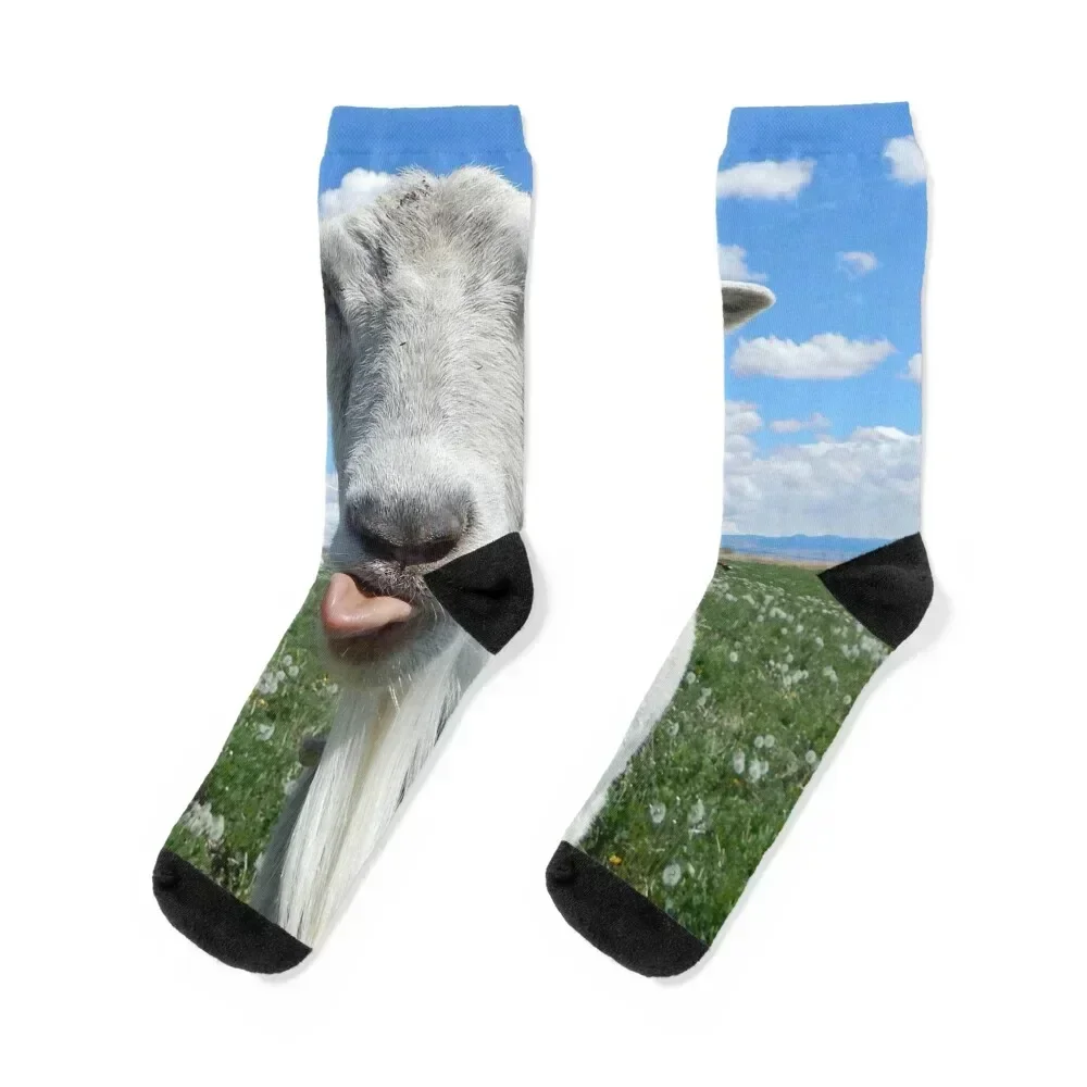 goat kisses, goat tongue Socks anti slip football basketball christmass gift Children's Ladies Socks Men's